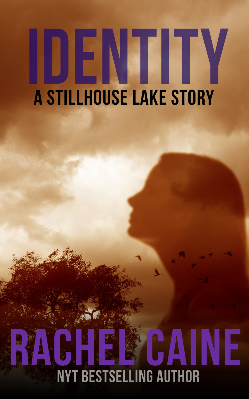 Stillhouse Lake Series Rachel Caine